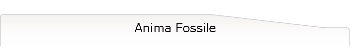 Anima Fossile