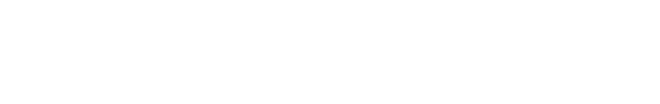 Versilia Web Site Garage